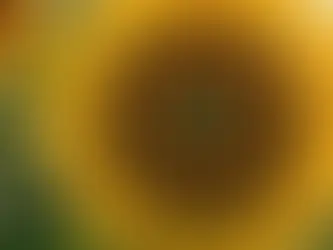 How Flowers Are Unveiling the Secrets of the Quantum Universe for Humanity's Growth, Health, Vitality and Immortality