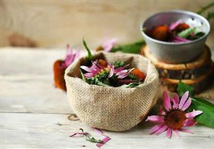 Naturally Support Your Immune System