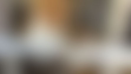 Les mots et sauvetages des animaux sauvages