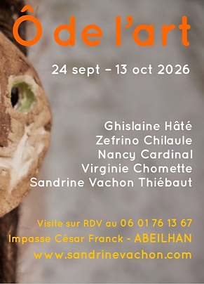 affiche expo 2026_edited.png
