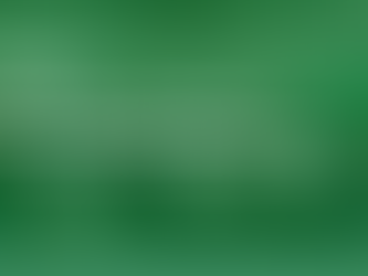 Pequeños negocios, grandes decisiones, el poder del flujo de caja