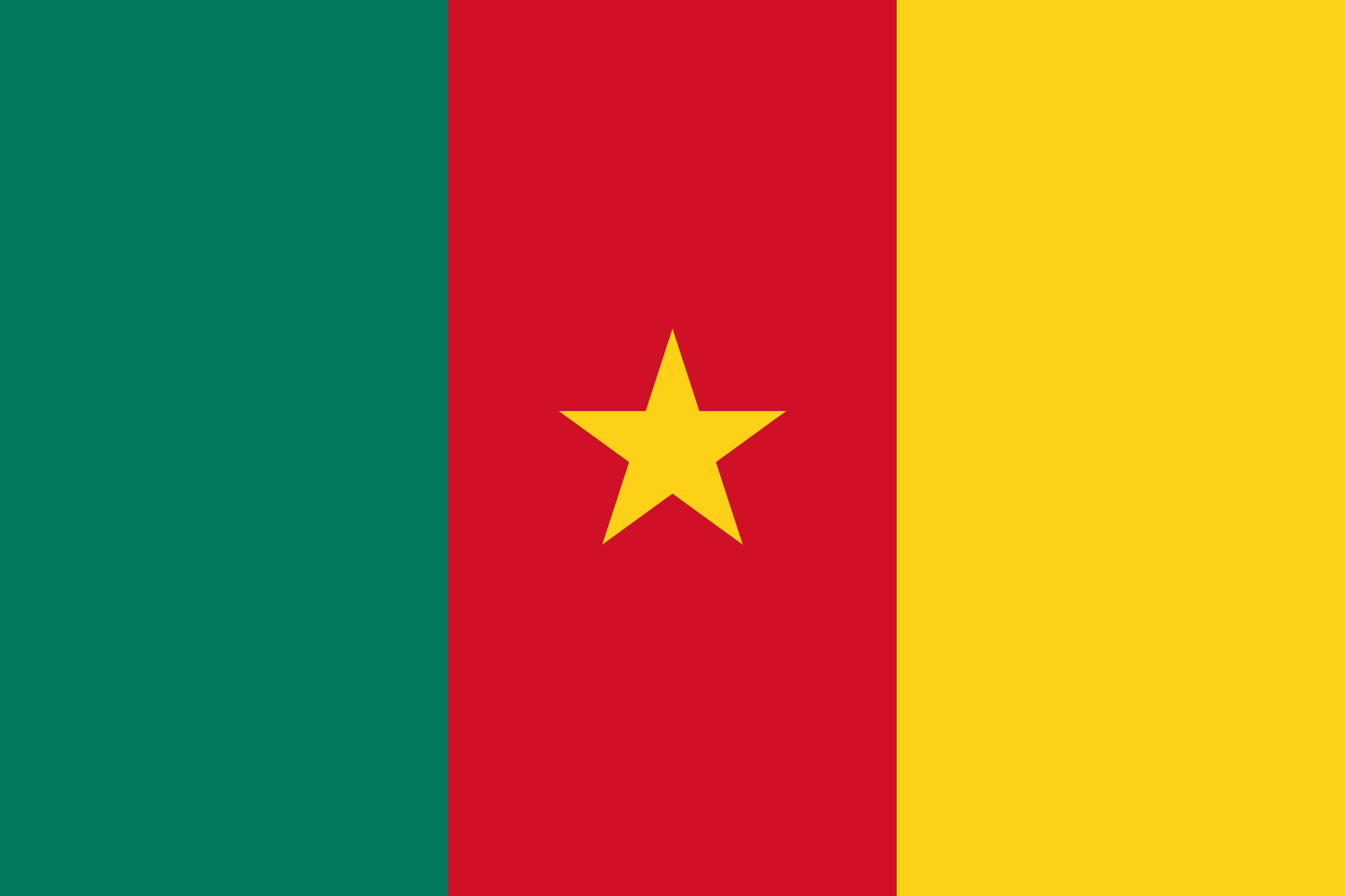 Flag of Cameroon