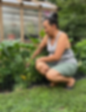 picking squash out of the garden.png