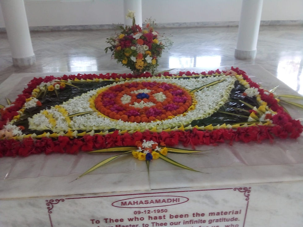 WhatsApp Image 2026-03-24 at 10.43.17 PM.jpeg