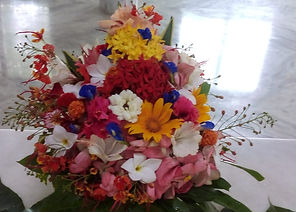 WhatsApp Image 2025-05-17 at 08.26.57_5b5a259c.jpg