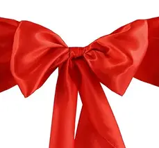 Chair Sashes and Ties