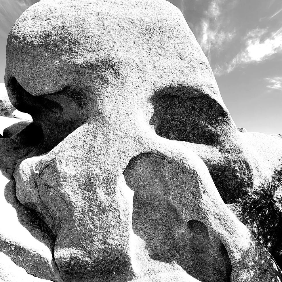 Joshua Tree National Park
