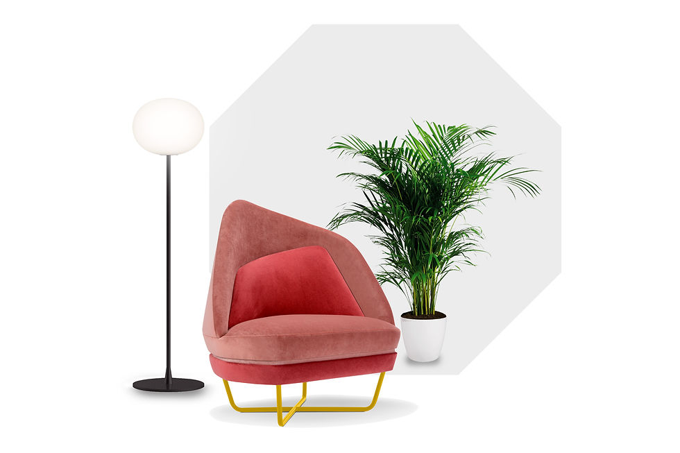 Thumbnail: Adrenalina Bixib chair