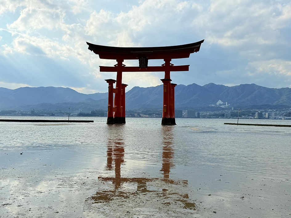 WhatsApp Image 2025-04-07 at 1.34.12 AM (4).jpeg