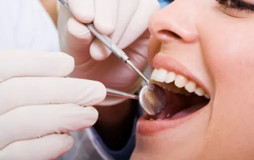 fillings.webp