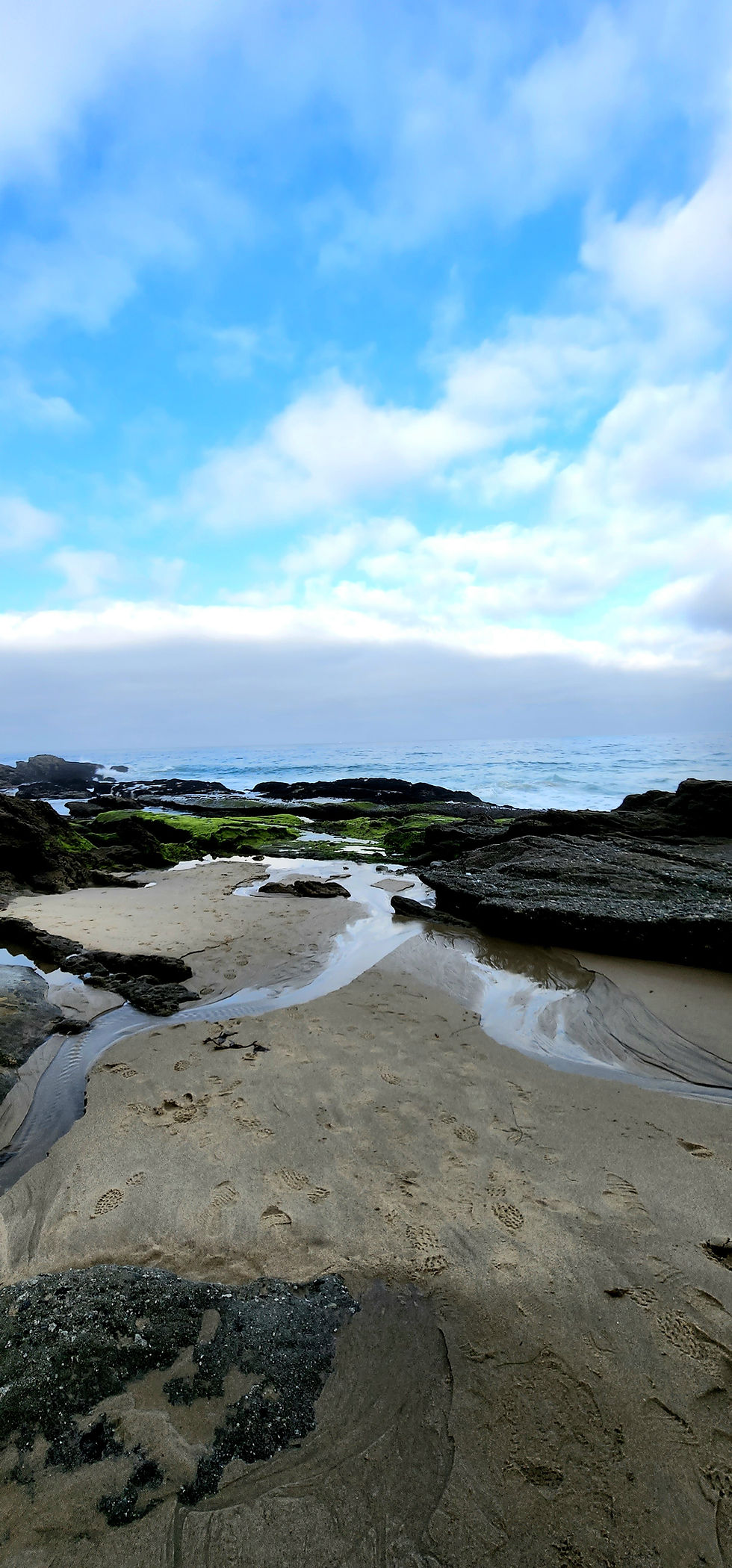 Laguna Beach