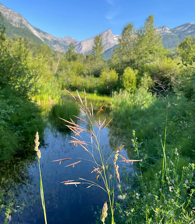 IMG_3974.jpeg