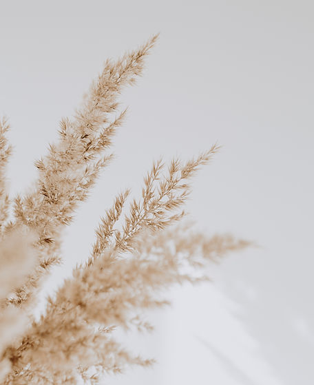 beige-reeds-against-white-wall-beautiful-with-neutral-colors.jpg