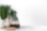 spa-composition-with-body-care-items-light.jpg