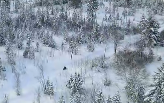 Screenshot 2026-01-15 at 08.04.10.png