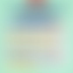 New University Admissions System 2026