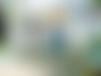 To Be or Not To Be: Josee, the Tiger and the Fish