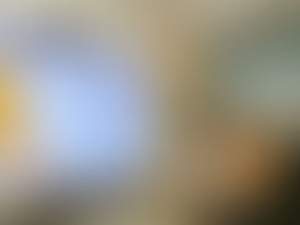 Gap Exploration Month 2023