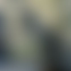 Inside SEC--Art-Inspired Stories!