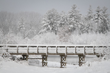 Riley Trails March Snow-141.jpg