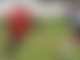 Match Report - Seniors 21st July 2019