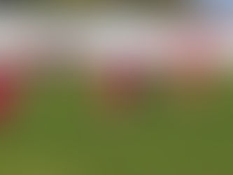 Match Report - Juniors 17th August 2019