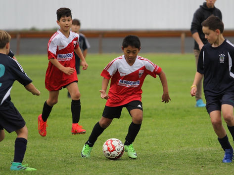 Sharks solid performance