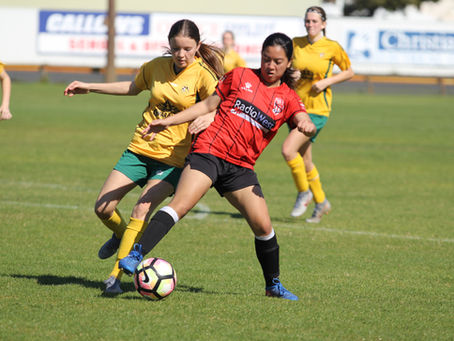 Match Report - Seniors 11th August 2019