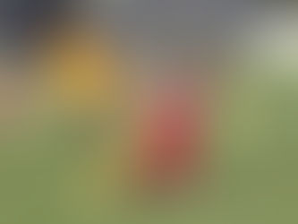 Match Report - Juniors 11th May 2019