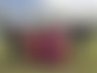 Match Report - Juniors 31st August 2019 (Knockout Cup)