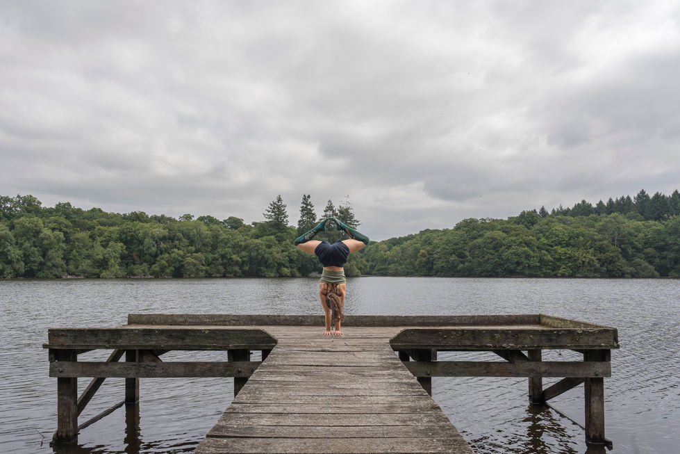 Forêt de la Corbière-7