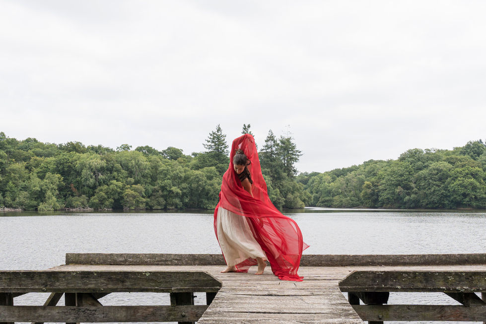 Forêt de la Corbière-61