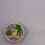 Thumbnail: magnet of a circular white bookshelf and inside are plants and a pink blue yellow and purple books