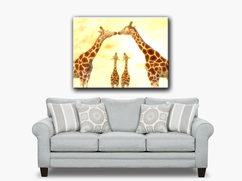 Thumbnail: Giraffe Parents Sneaking a Kiss
