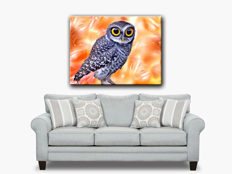 Thumbnail: Owlet Admire