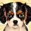 Thumbnail: Cavalier King Charles Love