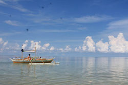 397454_647866971893346_137064262_n