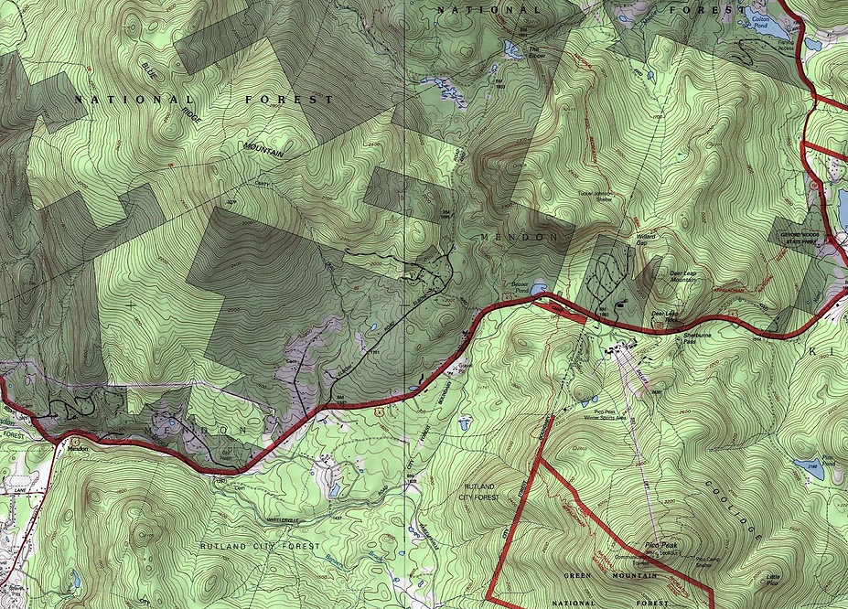 Fig 2_ Forests at Pico ski view (1).png