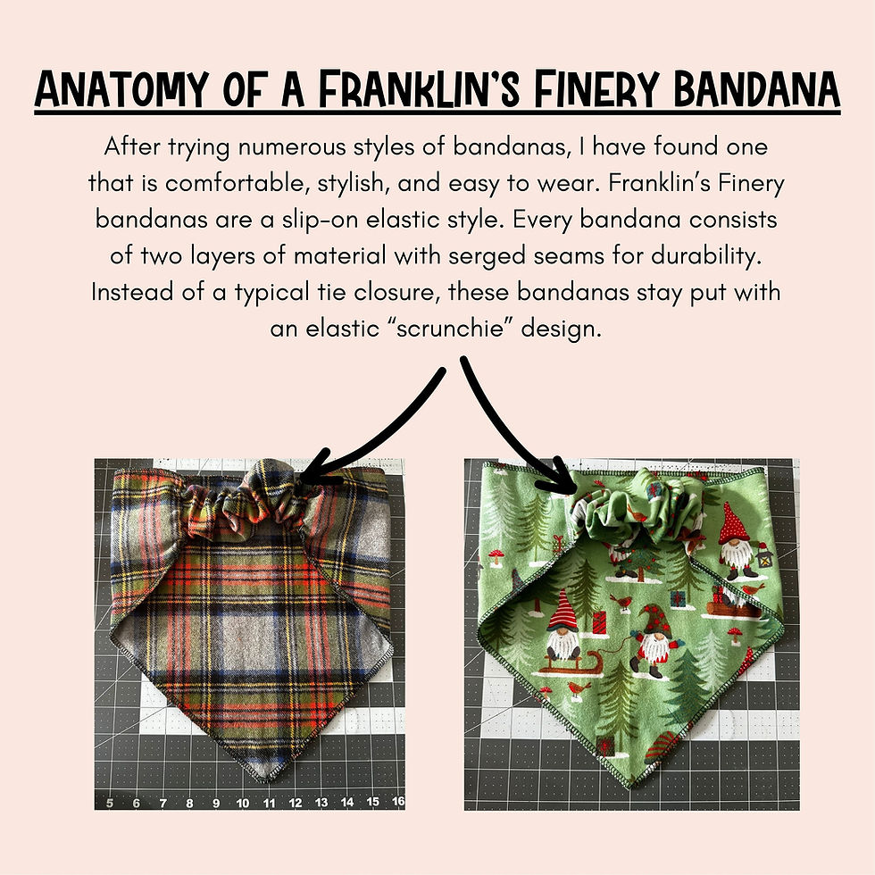 Thumbnail: Custom pet bandana for all those BOY DOGS in your life. Handsome, Mr. Amazing
