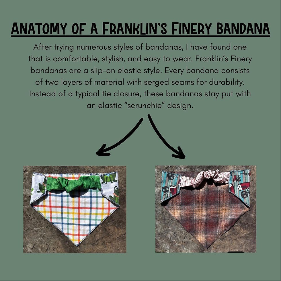Thumbnail: Best Dog By Par funny golfing dog reversible bandana