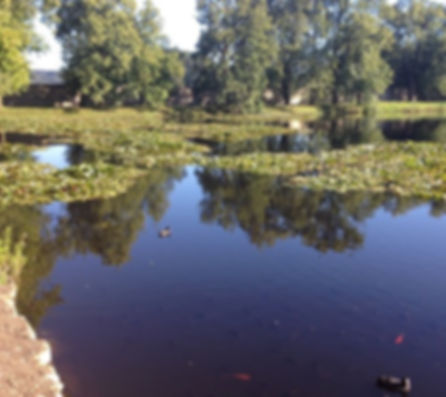 iso 14001 campagne 15 par 11.jpg