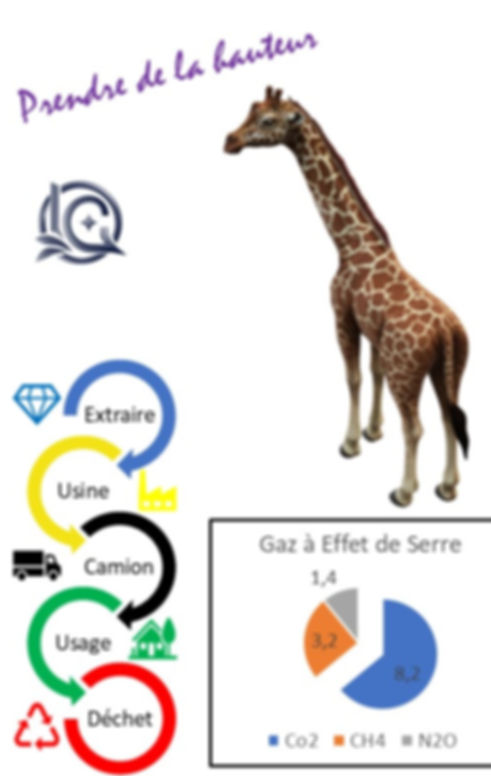 pour photo analyse environnementale WIX.jpg