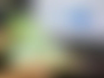 Inflation's Grip: Bond Yields Explained