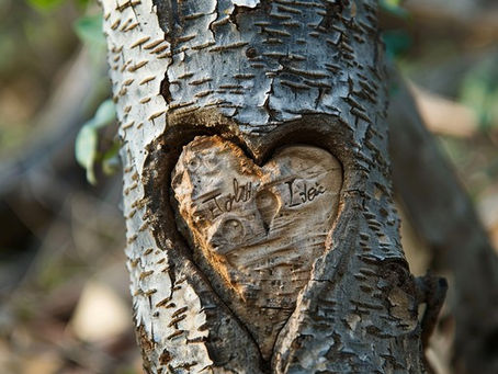 Joshua's Corner: Remember & Choose Love...