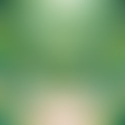 Weekly Insights: Peace from the Inside Out...