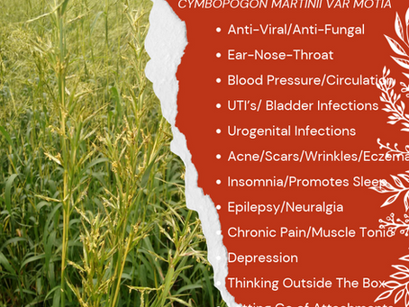 Aromatherapy Share: Essence of the Week - Palmarosa (Cymbopogon martinii var motia)...