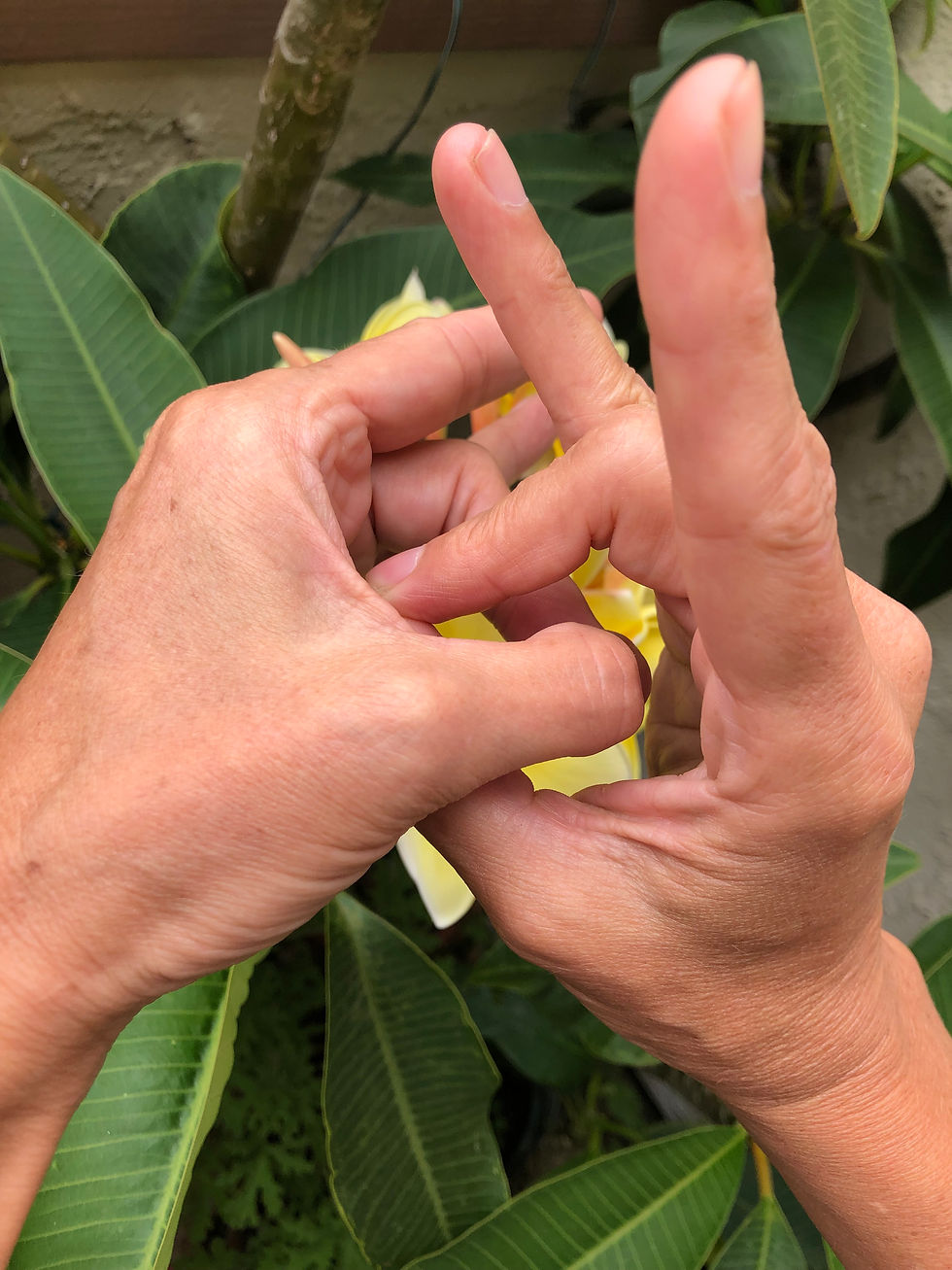 Self-Healing Hand Postures - Mudra of the Month: Infinite Discipline, Strength, & Understanding...