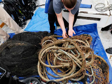 Good News From Around The World: Hyundai Partners with Healthy Seas to Turn Scourge 'GhostNets' into Floor Mats for Cars...