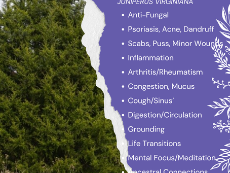 Aromatherapy Share: Essence of the Week - Cedarwood, Red (Juniperus virginiana)...