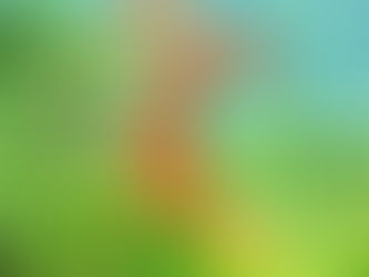 Seeking & Restoring Harmony